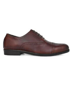Alberto Torresi Brown Formals Lace-Ups -Alberto Torresi Store 88651 BROWN 3 04728d5d 58d8 489c a791 00ca6626829c