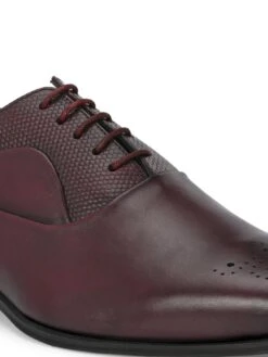 Alberto Torresi Genuine Leather 685 Bordo Office/ Dress Formal Lace Up Shoes -Alberto Torresi Store 88685 BORDO 8